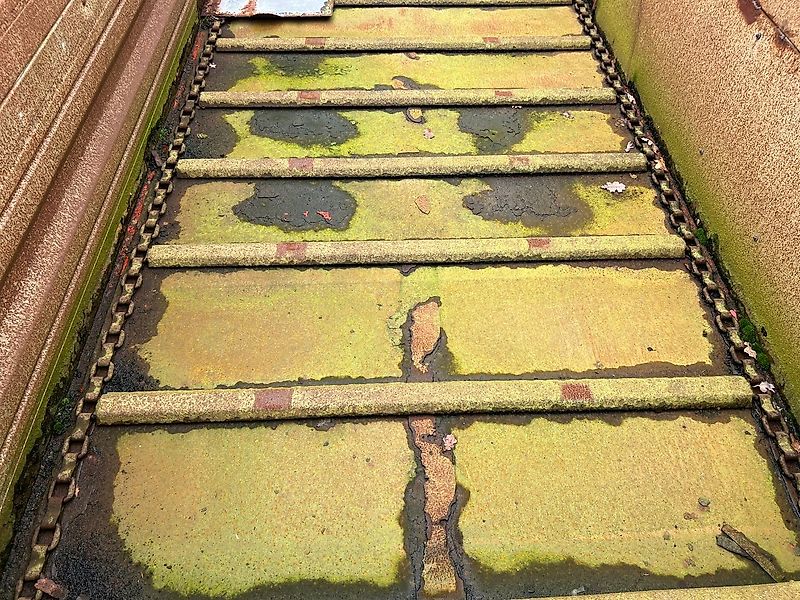 Schouten VDW 130 A voerdoseerwagen