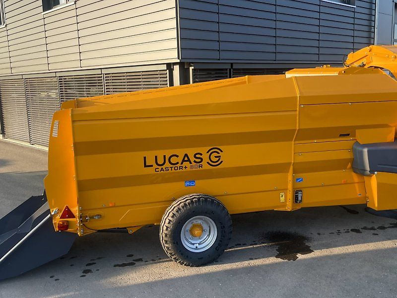 Lucas Castor + R 80