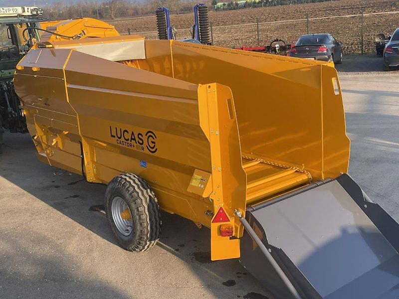 Lucas Castor + R 80