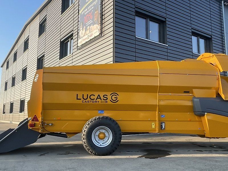 Lucas Castor + R 80