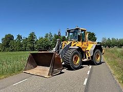 Volvo L110E