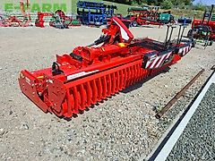 Maschio gabbiano 5000