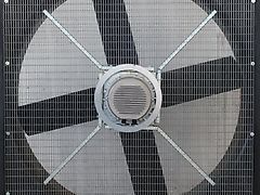 ABIFAN,XP2,Stalllüfter,Hallenlüfter,Stallventilator,Lüfter