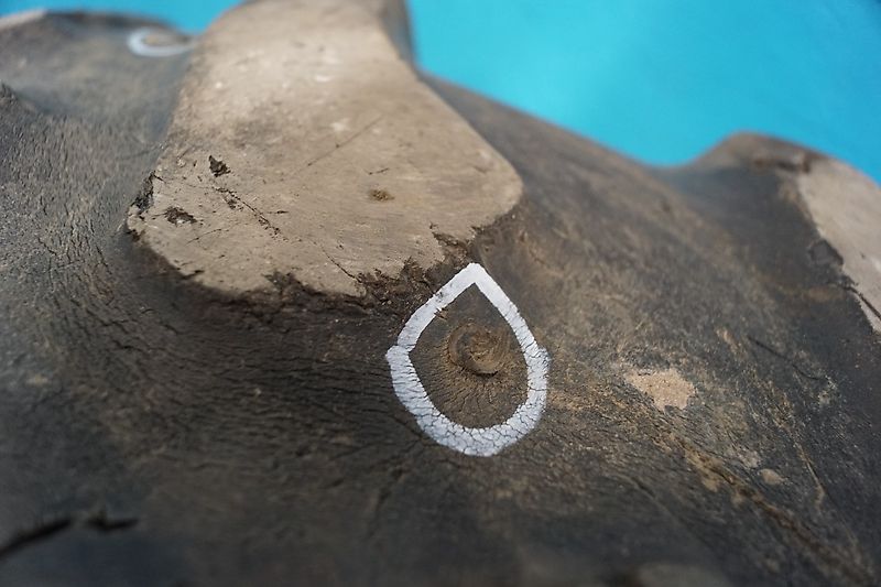 New Holland 28" 480/70R28 (Spare part/Reservedel/Ersatzteil)