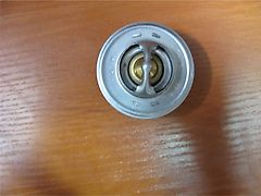 Renault THERMOSTAT RENAULT ARES CELTIS ERGOS 6005022968