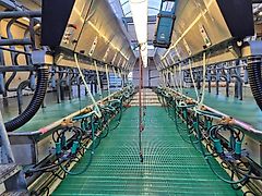 GEA 2x 10 Side by Side Rapid exit