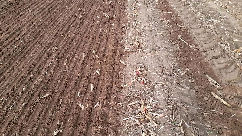 Agripol FRONT GRIZ IV 300 Frontgrubber Grubber Frontgrubber