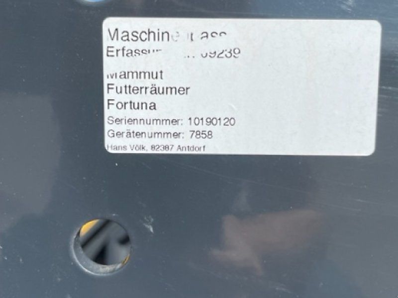 Mammut Fortuna