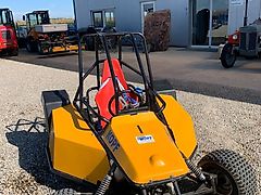 Kopf Elektro-Buggy 50 km/h, 48 V