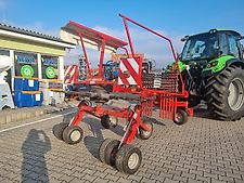 Lely Hibiscus 485 P