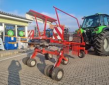Lely Hibiscus 485 P Lely Hibiscus 485 P