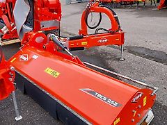 Kuhn TBES 262