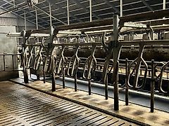 DeLaval 2x14 rapid exit