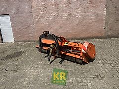 Perfect KG #696499