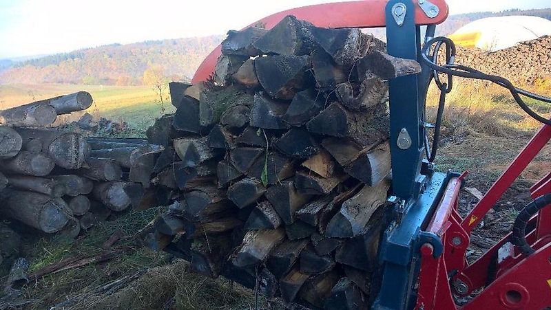 Palettengabel 2000KG mit Zahn Holzzange