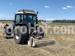 Aardenburg Alpha M Plus / Schlegelmulcher, mulcher 125-155 cm